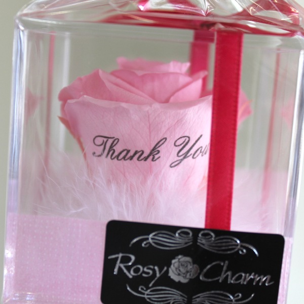 ���塼�֥��������ߥˡ��å�å������ե���2�ĥ��åȡ�