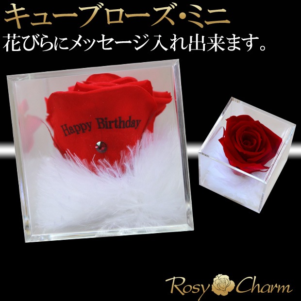 ���塼�֥��������ߥˡ��å�å������ե���2�ĥ��åȡ�