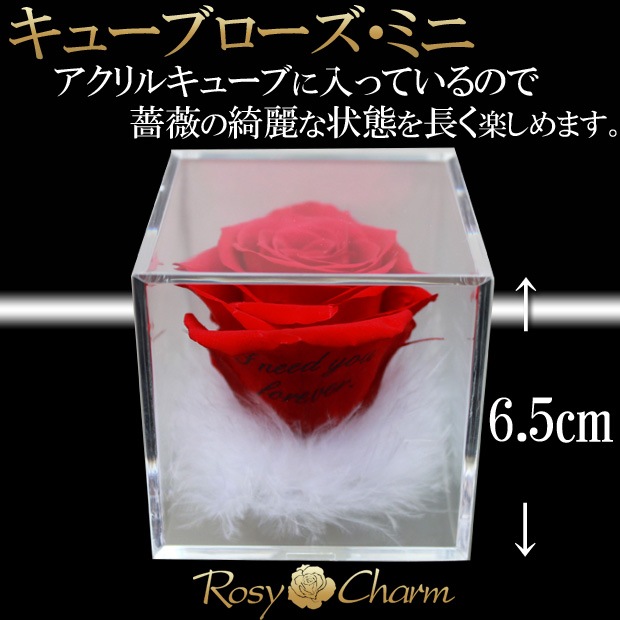 ���塼�֥��������ߥˡ��å�å������ե���2�ĥ��åȡ�