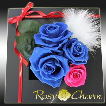 ��������������Ĥ��Х�Υץꥶ���֥ɥե��������ե졼���