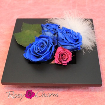 ��������������Ĥ��Х�Υץꥶ���֥ɥե��������ե졼���