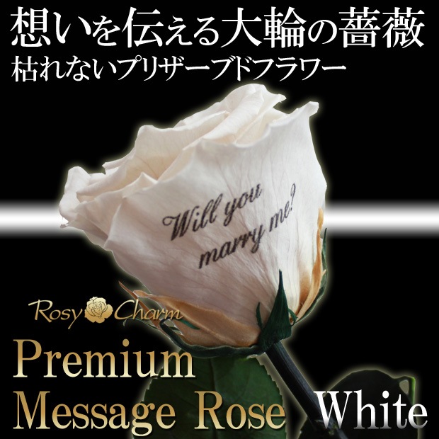 �ڥץ�ߥ���ۥ�å��������������ץꥶ���֥ɥե������ؤ��򤤥Х�1�ܡå�å������ե����ؤ���