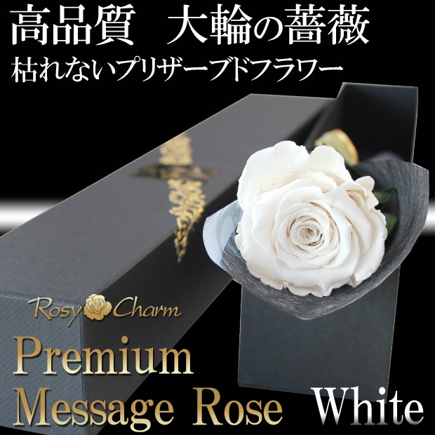 �ڥץ�ߥ���ۥ�å��������������ץꥶ���֥ɥե������ؤ��򤤥Х�1�ܡå�å������ե����ؤ���