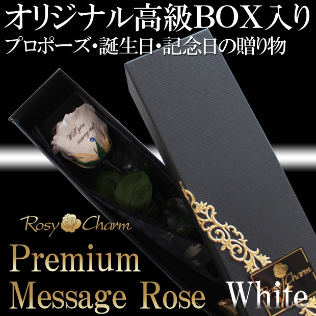 �ڥץ�ߥ���ۥ�å��������������ץꥶ���֥ɥե������ؤ��򤤥Х�1�ܡå�å������ե����ؤ���