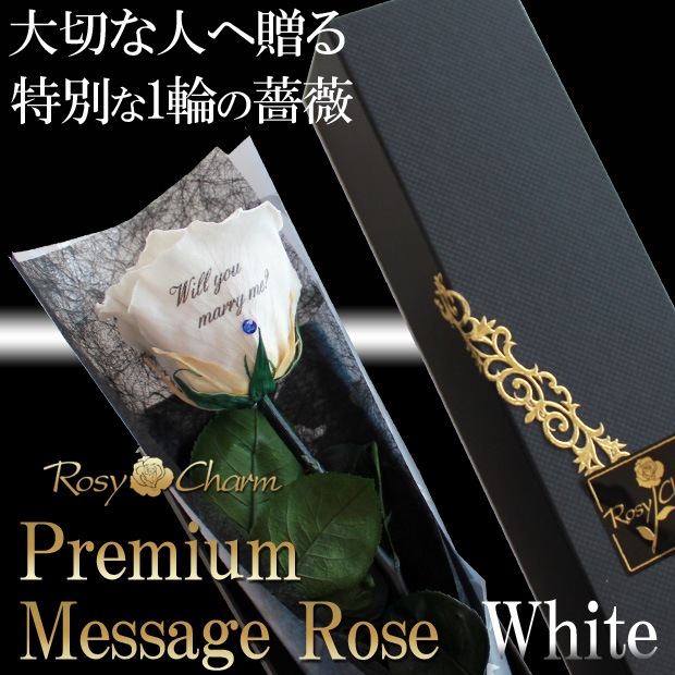 �ڥץ�ߥ���ۥ�å��������������ץꥶ���֥ɥե������ؤ��򤤥Х�1�ܡå�å������ե����ؤ���