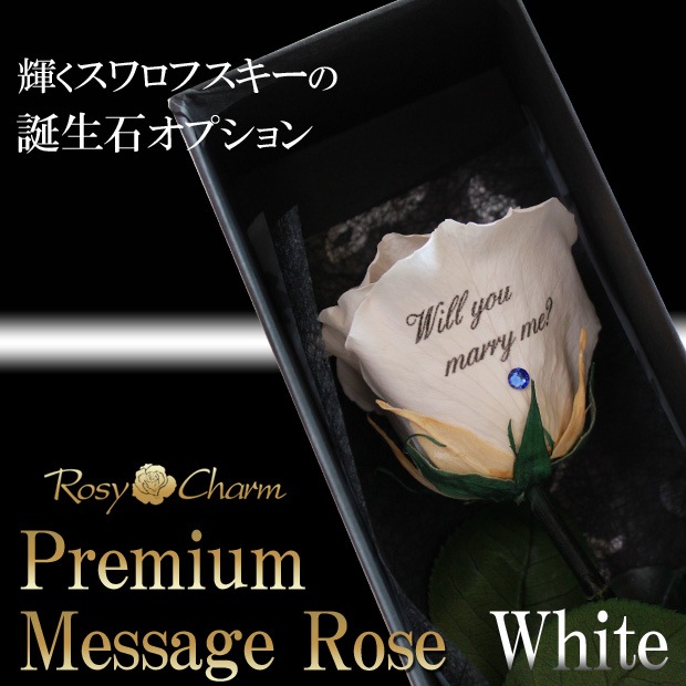 �ڥץ�ߥ���ۥ�å��������������ץꥶ���֥ɥե������ؤ��򤤥Х�1�ܡå�å������ե����ؤ���