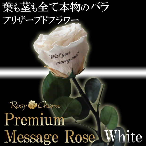 �ڥץ�ߥ���ۥ�å��������������ץꥶ���֥ɥե������ؤ��򤤥Х�1�ܡå�å������ե����ؤ���