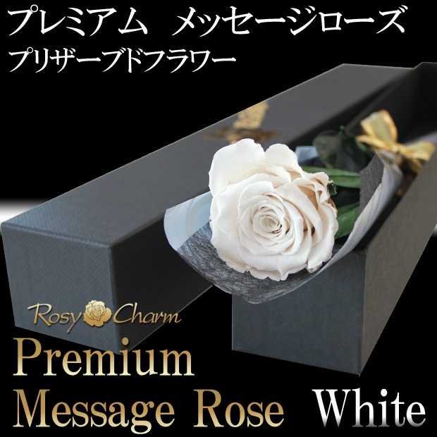 �ڥץ�ߥ���ۥ�å��������������ץꥶ���֥ɥե������ؤ��򤤥Х�1�ܡå�å������ե����ؤ���