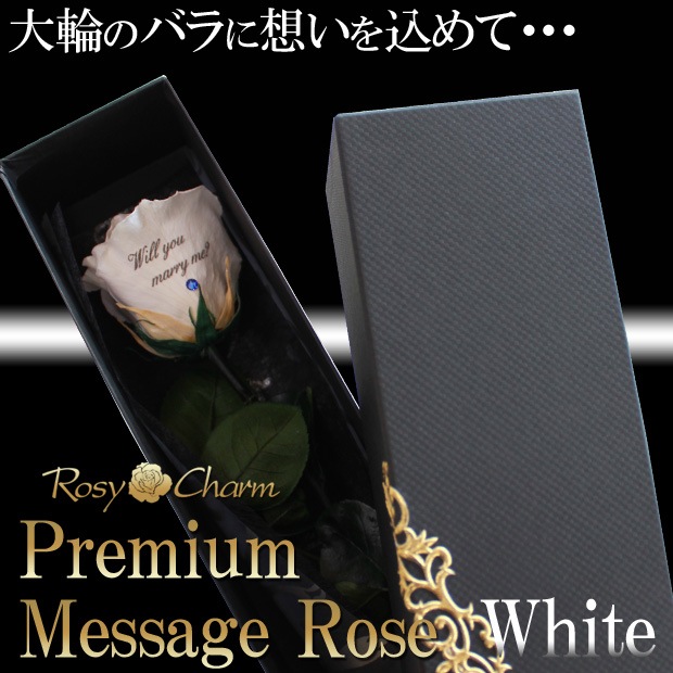 �ڥץ�ߥ���ۥ�å��������������ץꥶ���֥ɥե������ؤ��򤤥Х�1�ܡå�å������ե����ؤ���