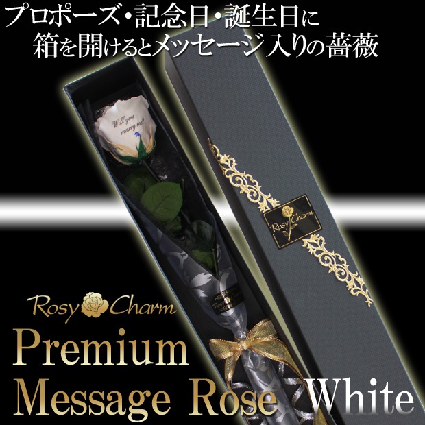 �ڥץ�ߥ���ۥ�å��������������ץꥶ���֥ɥե������ؤ��򤤥Х�1�ܡå�å������ե����ؤ���