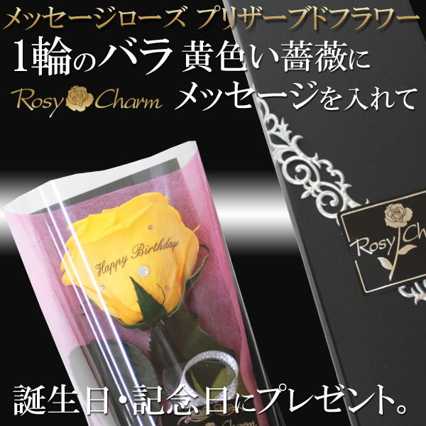 åץꥶ֥ɥեòΥХ1ܡååեե ؤ