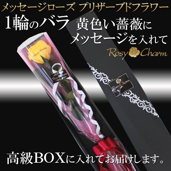 åץꥶ֥ɥեòΥХ1ܡååեե ؤ