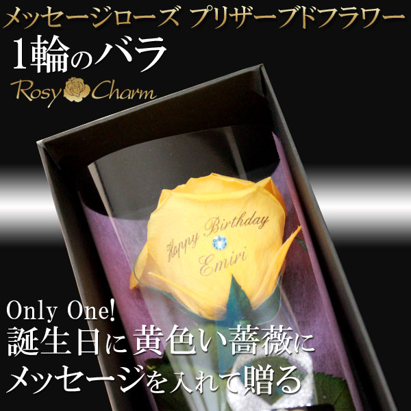 åץꥶ֥ɥեòΥХ1ܡååեե ؤ