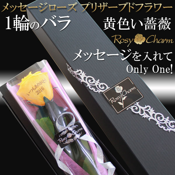 åץꥶ֥ɥեòΥХ1ܡååեե ؤ