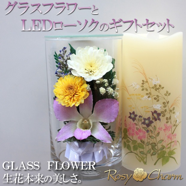 ���饹�ե���LED���������Υ��եȥ��åȡä������Ѥβ֡ڥ��������������μ����