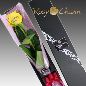 åá֡1ܡåեȥܥåؤΥХ