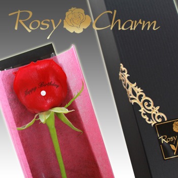 åá֡1ܡåեȥܥåؤΥХ