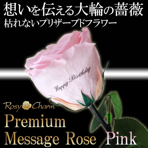 �ڥץ�ߥ���ۥ�å��������������ץꥶ���֥ɥե������� �ԥ󥯤ΥХ�1�ܡå�å�����������ؤ���