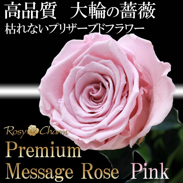 �ڥץ�ߥ���ۥ�å��������������ץꥶ���֥ɥե������� �ԥ󥯤ΥХ�1�ܡå�å�����������ؤ���