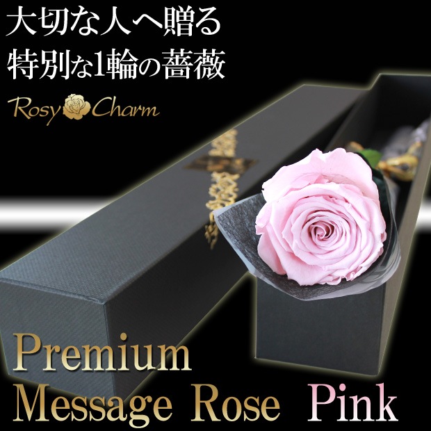 �ڥץ�ߥ���ۥ�å��������������ץꥶ���֥ɥե������� �ԥ󥯤ΥХ�1�ܡå�å�����������ؤ���