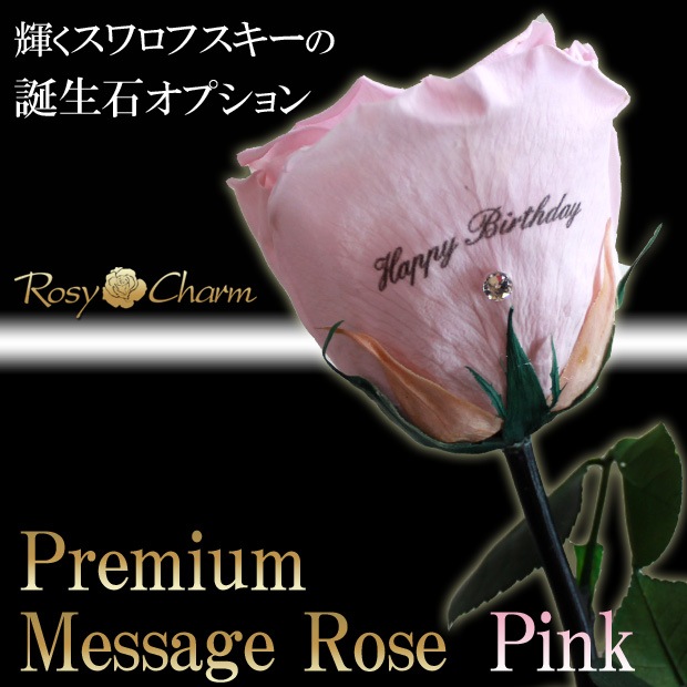 �ڥץ�ߥ���ۥ�å��������������ץꥶ���֥ɥե������� �ԥ󥯤ΥХ�1�ܡå�å�����������ؤ���