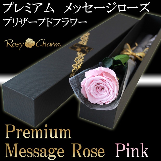 �ڥץ�ߥ���ۥ�å��������������ץꥶ���֥ɥե������� �ԥ󥯤ΥХ�1�ܡå�å�����������ؤ���