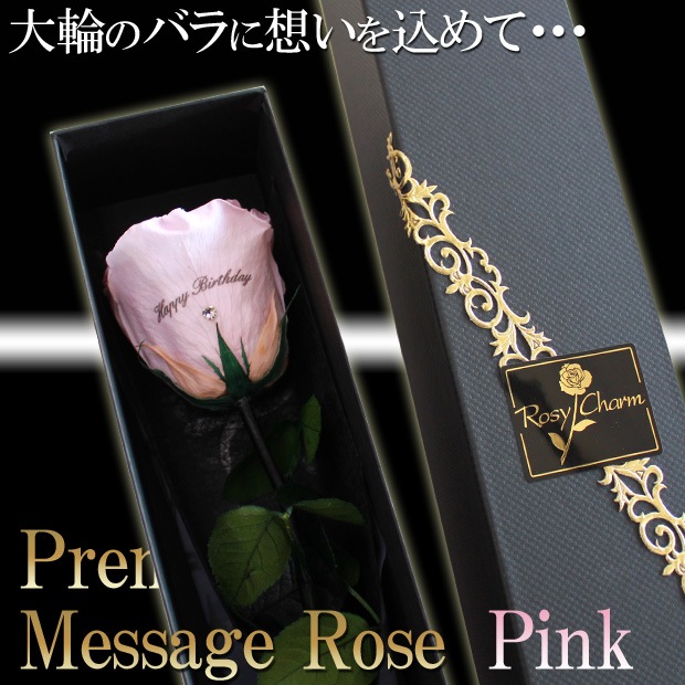 �ڥץ�ߥ���ۥ�å��������������ץꥶ���֥ɥե������� �ԥ󥯤ΥХ�1�ܡå�å�����������ؤ���