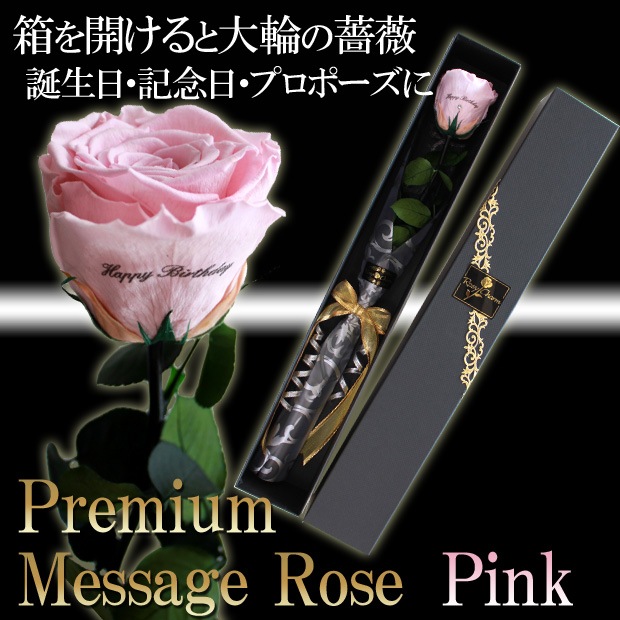 �ڥץ�ߥ���ۥ�å��������������ץꥶ���֥ɥե������� �ԥ󥯤ΥХ�1�ܡå�å�����������ؤ���