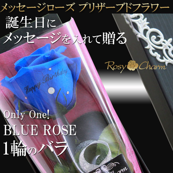 ��å��������������ץꥶ���֥ɥե����Ĥ���1�ܡå֥롼�������˥�å���������ð��ؤΥХ�