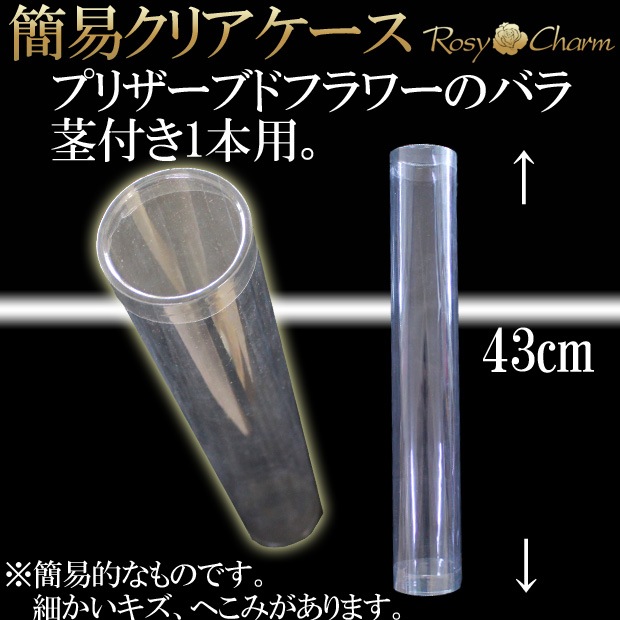 ��å��������������ץꥶ���֥ɥե����Ĥ���1�ܡå֥롼�������˥�å���������ð��ؤΥХ�