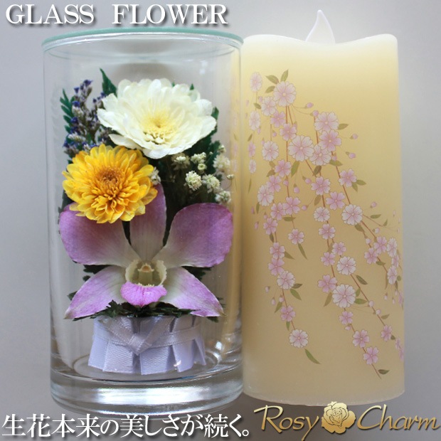 ���饹�ե���LED���������Υ��եȥ��åȡä������Ѥβ֡ڥ��������������������