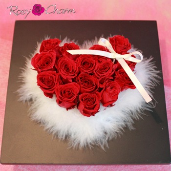��֥꡼�ϡ��ȡ��֥Х�Υץꥶ���֥ɥե���