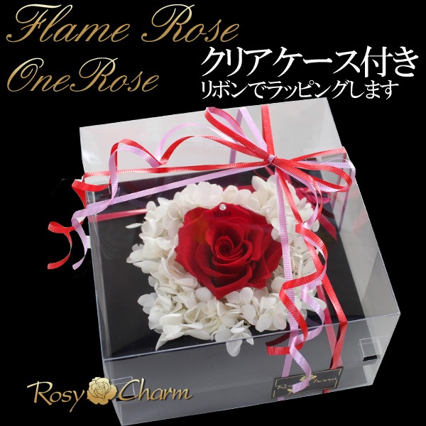 ���ؤΥХ顡�ʥץꥶ���֥ɥե��ˡ������ե졼���