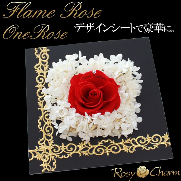 ���ؤΥХ顡�ʥץꥶ���֥ɥե��ˡ������ե졼���