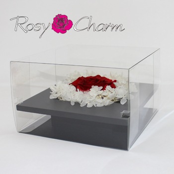 ���ؤΥХ顡�ʥץꥶ���֥ɥե��ˡ������ե졼���