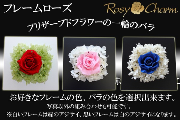 ���ؤΥХ顡�ʥץꥶ���֥ɥե��ˡ������ե졼���