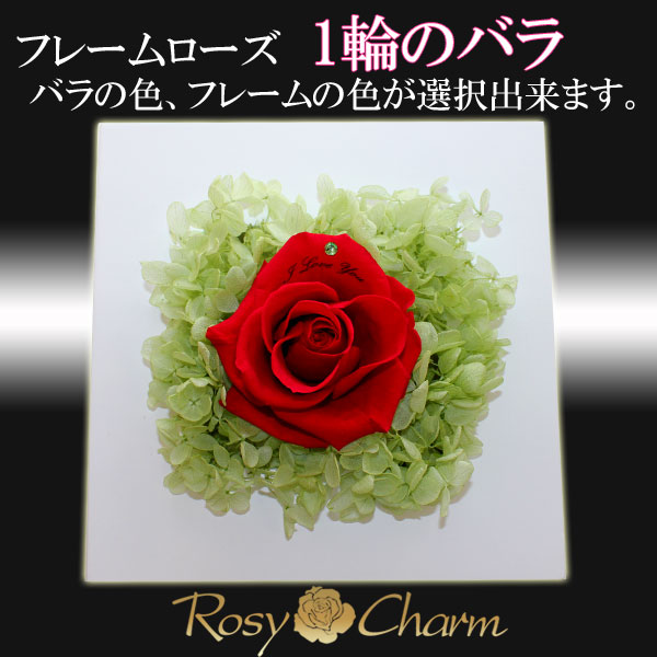 ���ؤΥХ顡�ʥץꥶ���֥ɥե��ˡ������ե졼���