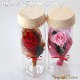 ܥȥե Хβ«  ץꥶ֥ɥե ǰˤץݡ£֡