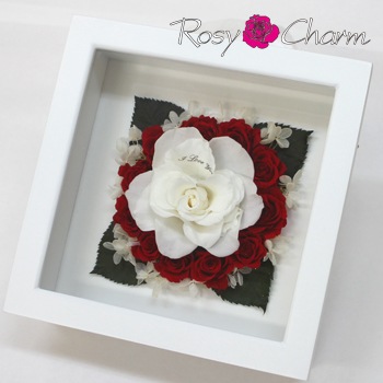 �����ؤΥХ�������ΥХ����å��������ץꥶ���֥ɥե�