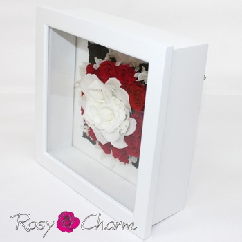 �����ؤΥХ�������ΥХ����å��������ץꥶ���֥ɥե�