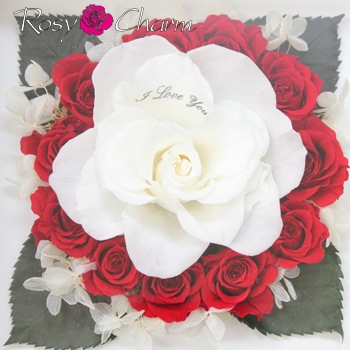 �����ؤΥХ�������ΥХ����å��������ץꥶ���֥ɥե�