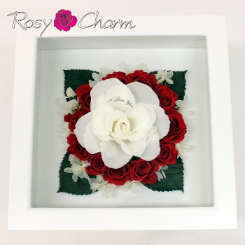 �����ؤΥХ�������ΥХ����å��������ץꥶ���֥ɥե�