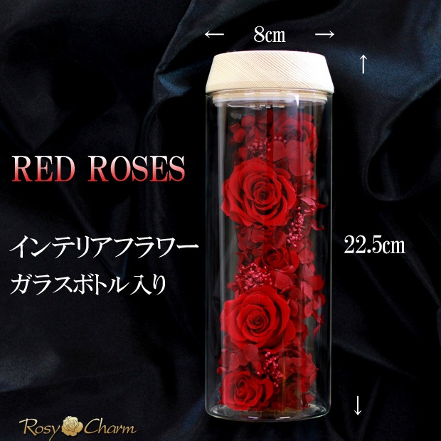 ܥȥե åɥ ץꥶ֥ɥե ǰˤץݡ£֡