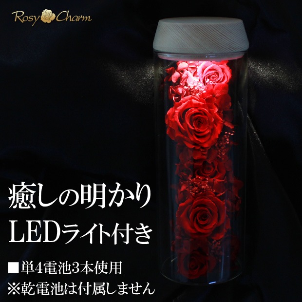 ܥȥե åɥ ץꥶ֥ɥե ǰˤץݡ£֡