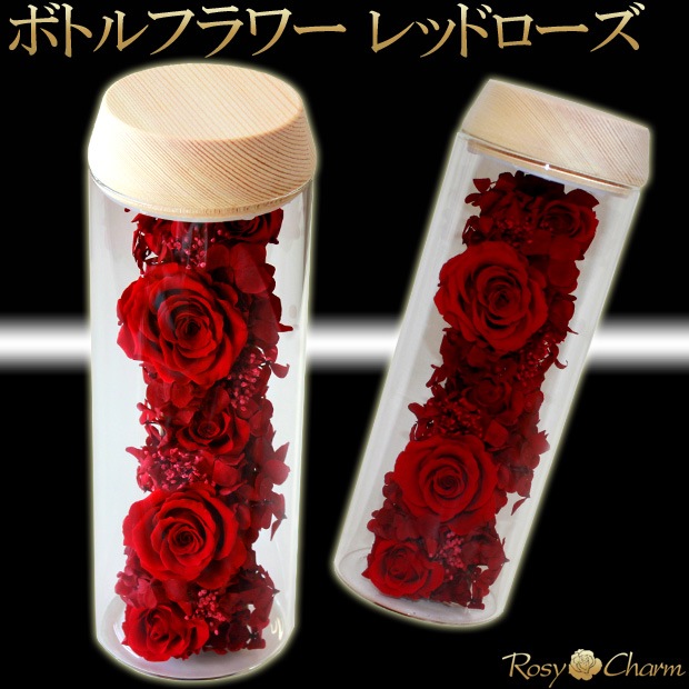 ܥȥե åɥ ץꥶ֥ɥե ǰˤץݡ£֡