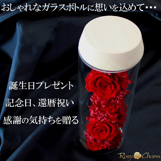 ܥȥե åɥ ץꥶ֥ɥե ǰˤץݡ£֡