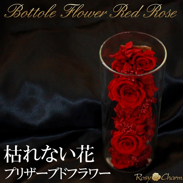 ܥȥե åɥ ץꥶ֥ɥե ǰˤץݡ£֡