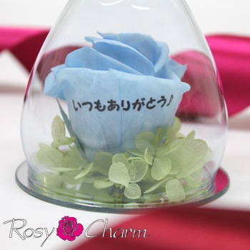 󥸥롡åå饹ŷȡåХΥץꥶ֥ɥեեȡץ쥼ȡ뺧ǰ£֡