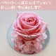 󥸥롡åå饹ŷȡåХΥץꥶ֥ɥեեȡץ쥼ȡ뺧ǰ£֡
