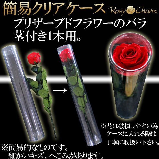 ���ꥢ�������åץꥶ���֥ɥե��ΥХ�1�ܷ��դ��� �����ջ��ढ���